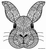 Lapin Coloriage Tete Dessin Manda Imprimer Imprimé sketch template