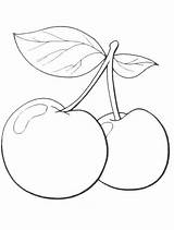 Frutas Drawing sketch template