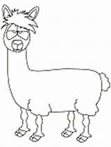 Coloring Peru Pages Llama Animals sketch template