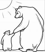 Bear Papa Coloring Little Pages Baby Cute Bears Kids Cub Mpmschoolsupplies Cubs Holding Printable sketch template