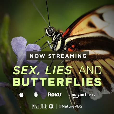 Nature On Pbs On Twitter Butterflies Have Been Making Our Planet More