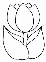Tulip Drawing Kids Coloring Simple Color Clipart Peony Inside Play sketch template