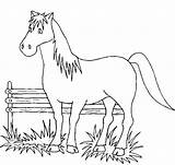 Cavalli Cavallo Cavalos Stampare Konji Cheval Konja Cavalo Chevaux Printanje sketch template