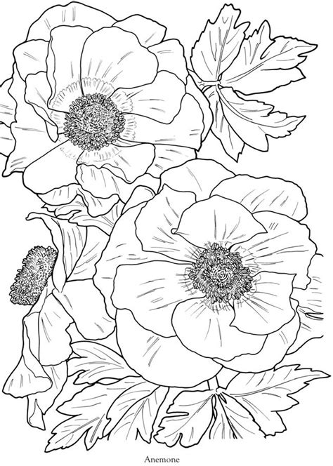 anemone flower coloring pages flower drawing coloring books