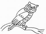 Owl Coloring Pages Wise Old Leaves sketch template