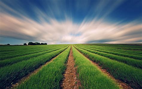 agriculture wallpapers top  agriculture backgrounds wallpaperaccess