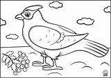 Coloring Pages Kids Birds Application sketch template