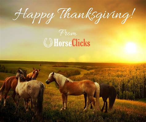 happy thanksgiving  horseclicks  hope     great day