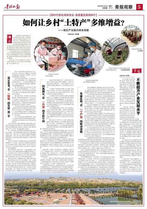 青海日报数字报 2023年11月01日 第5版：青报观察