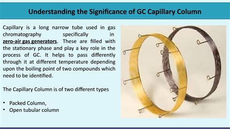 understanding  significance  gc capillary column  quadrex corp