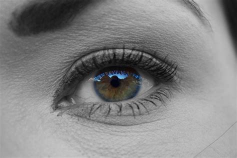 el herpes ocular causas sintomas  tratamiento central ocular
