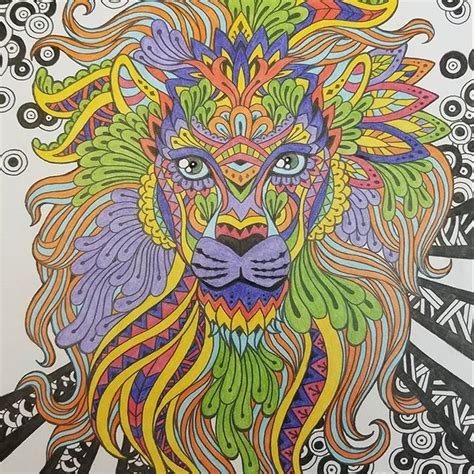 lion coloring pages  adults  colored kidsworksheetfun