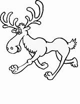 Moose Coloring Pages Caribou Print Coloriage Cartoon Printable Kids Drawings Clipart Canada Cliparts Mammals Clip Drawing Colouring Step Book Library sketch template