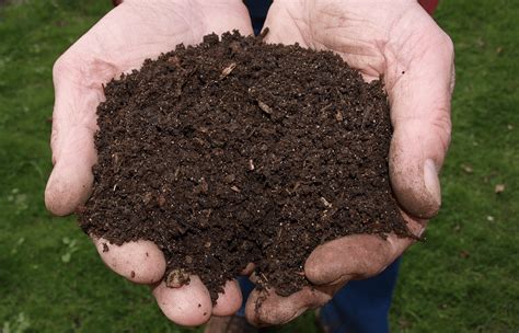 top organic gardening soils grow   health food