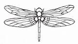 Dragonfly Tattoo Colouring Maori Butterfly Tattooimages Askideas sketch template