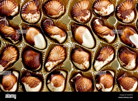 belgische schokolade muscheln stockfotografie alamy
