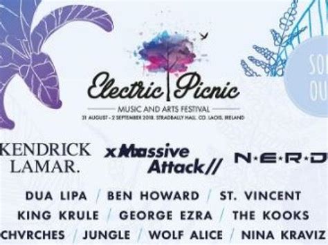 fake electric picnic tickets garda issue warning to music fans leinster express