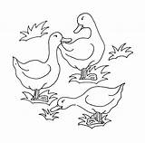 Duck Coloring Ducks Pages Printable Kids Color Print sketch template