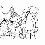 Rainforest Coloring Pages Tropical Simple Animals Template sketch template
