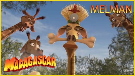 Dreamworks Madagascar Lo Mejor De Melman Madagascar Escape 2 África