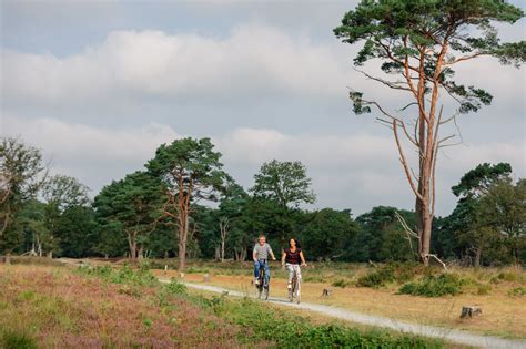 fietsen  drenthe drenthe cycling trips cycling route beautiful landscapes holland