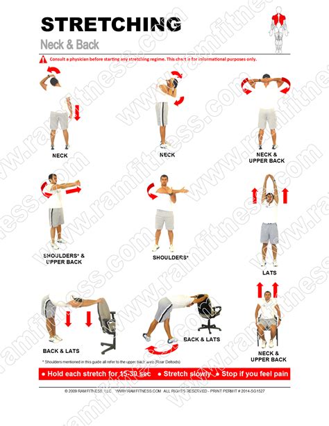 neck  stretches  file  tracking guide