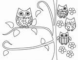 Coloring Owl Pages Cute Popular Owls sketch template