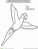 Parrot Number Paint Numbers Color Worksheets Kindergarten Painting Worksheet Aladdin Printable Watercolor Education Beautiful Coloring Pages Drawing School Kids Counting sketch template