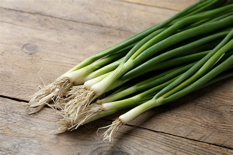 green onions  scallions  spring onions    difference clean green simple