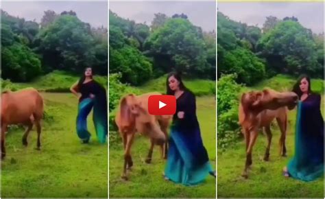 Ladki Ka Dance घोड़े के पास गई और डांस करने लगी लड़की मगर एक गलती ने