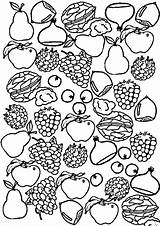 Arcimboldo Coloriage Ausmalbilder Frucht sketch template