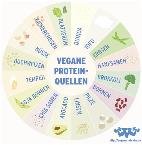 vegane eiweiss quellen eine infografik veganes eiweiss