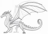 Wings Fire Dragons Pantala Leafwings Wiki Wof Wikia Guide Dragon Leafwing Drawing Sundew Wingsoffire Base Maple Continent Line Book Lost sketch template