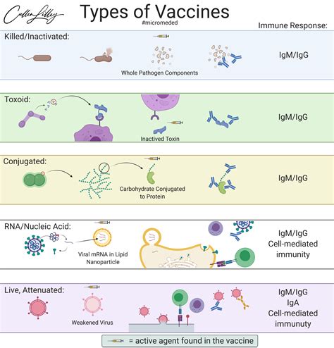 types  vaccines pathelective
