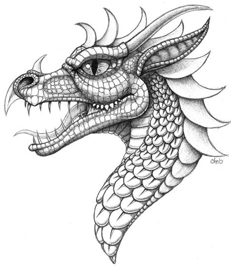 side view       dragon head   project