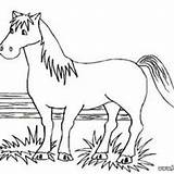 Horse Coloring Horses Galloping Pages Big Hellokids Mare Lovely Animal sketch template