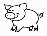 Schwein Schweine Malen Malvorlage sketch template