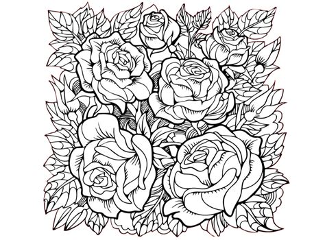 hard  color detailed rose flowers coloring pages  adults print