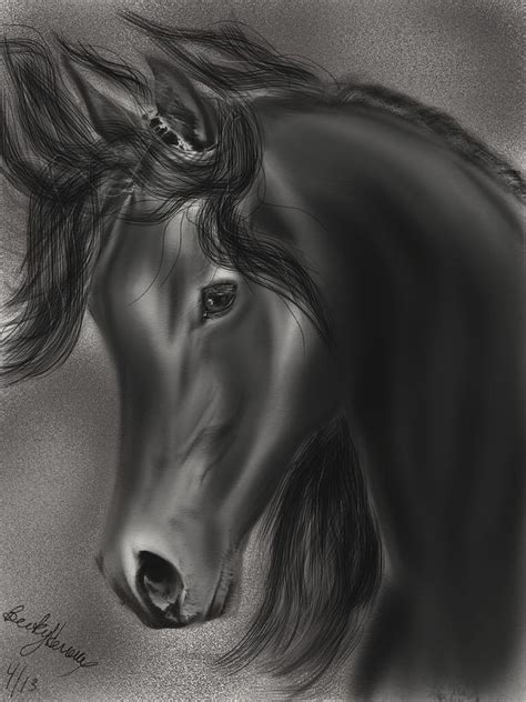 arabian horse drawing  becky herrera fine art america