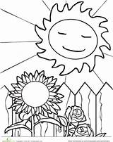Sunny Coloring Pages Weather Seasons Four Sun Worksheets Sunflower Season Getcolorings Designlooter Worksheet Color Getdrawings 382px 11kb Printable Colorings sketch template