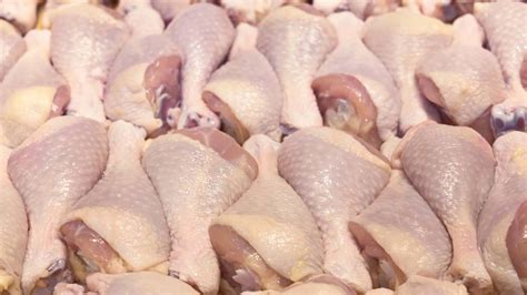 reasons  start frozen chicken business  nigeria wealth result