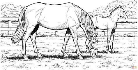 printable horse colouring pages clip art library
