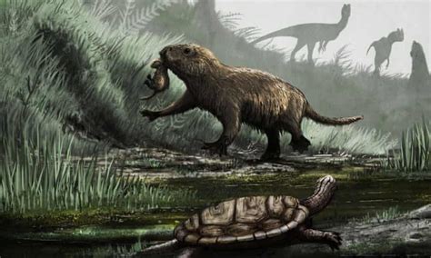 Mammals Switched To Daytime Activity After Dinosaurs Died Out Says