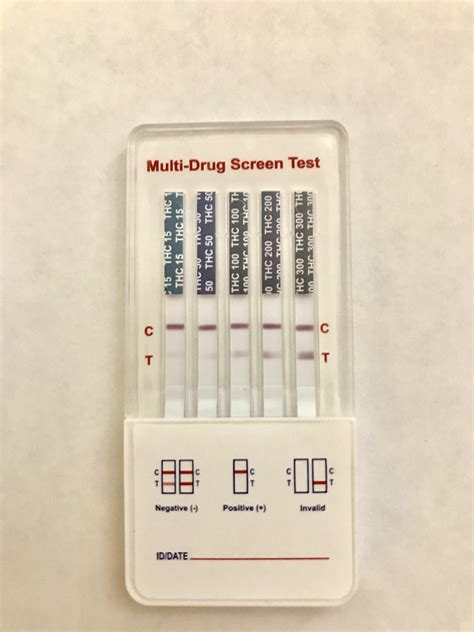negative result  thc levels drug test confirmed rhempflowers