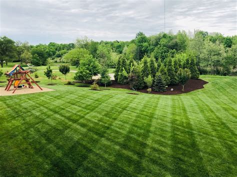 organic lawn care grass master