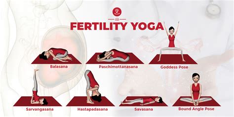 fertility yoga  poses  conceive faster pranayamacom