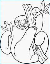 Sloth Sloths Coloringbay sketch template