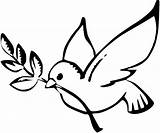 Dove Line Drawing Peace Clipart Drawings Clip Coloring Colombe Christmas Symbols Pencil Earth Bird Xmas sketch template