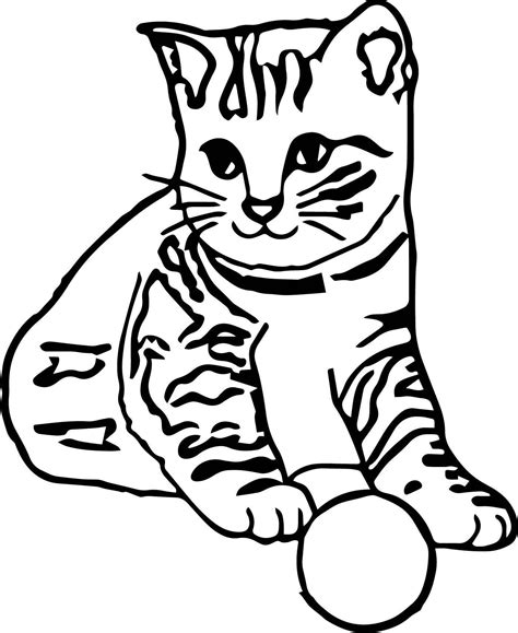 animal cat coloring page wecoloringpagecom