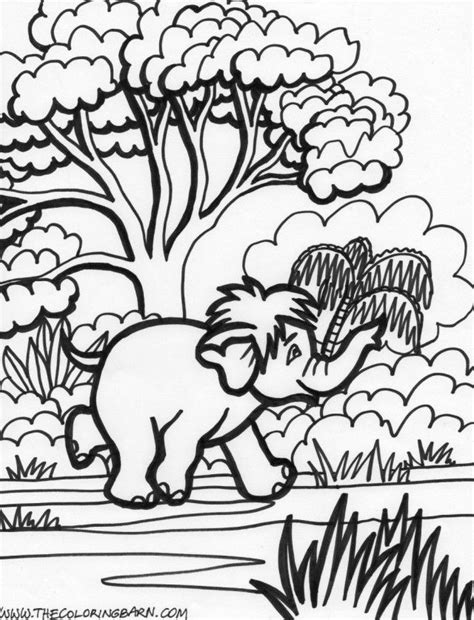 rainforest coloring sheet coloring home